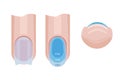 Nail care. Distribution of the base on the nail. Illustration for a manual for manicure. Vector illustration