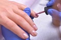 Nail Care And Manicure. Closeup Of Beautiful Female Hands Applyi Royalty Free Stock Photo