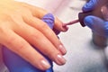 Nail Care And Manicure. Closeup Of Beautiful Female Hands Applyi