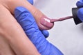 Nail Care And Manicure. Closeup Of Beautiful Female Hands Applyi