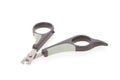 Nail clipper for cats or small dogs isolated