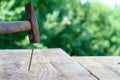 Nail and hammer in action on wooden planks