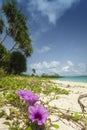 Nail Island blue sky with white clouds, Andaman Islands, India