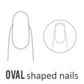 Nail shape oval