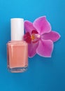 Nail polish and orchid over blue. Beautiful colors. Royalty Free Stock Photo