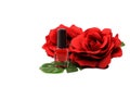 Nail polish red for salon with red roses flowers