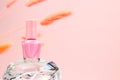 Nail polish small glass bottle on glass or crystal podium and peach lagurus herbs on pink background. Unbranded mockup with copy