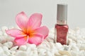 Nail polish on white pebbles with a pink frangipani