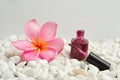 Nail polish on white pebbles with a pink frangipani