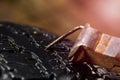 A nail pulled out of a car tire with pliers.