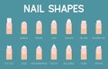 Nail shapes for manicure and pedicure icon