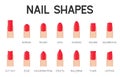 Nail shapes for manicure and pedicure icon