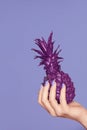 Nails Manicure. Hand With Stylish Nails Holding Purple Pineapple