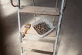 Nails and screws are in the plastic box and brush are on the wooden step of ladder. Royalty Free Stock Photo