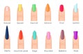 Nails shape icons set. Types of fashion bright colour nail shapes collection. Fashion nails type trends. Beauty spa Royalty Free Stock Photo