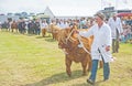 Nairn Agricultural Show.