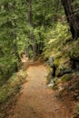 Track at Nairn Falls Provincial Park, Pemberton, British Columbia, Sea to Sky Highway, Canada Royalty Free Stock Photo