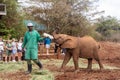 Baby elephants gets fed a milk bottle at the Sheldrick Wildlife Trust that raises orphaned