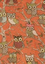 Naive owls on orange background.