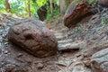 Naka cave giant snake scale stone. in the Phu Langka national park