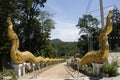 Naka statue entrance go to Big buddha on top of mountain for Thai people and travelers travel visit respect praying at Wat Doi