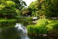The pond and grove in Nakajima Park Royalty Free Stock Photo