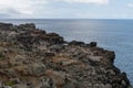 Nakalele Blowhole, western Maui