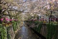 Nakameguro Cherry Blossom Festival, Japan