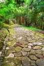 Nakasendo Ancient Trailway in Japan Royalty Free Stock Photo