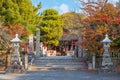 Nakatsu, Japan - Nov 26 2022: Nakatsu Daijingu Grand Shrine and shrines complex at Nakatsu Castle park, founded after Meiji Royalty Free Stock Photo