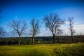 Nake trees in autumn field. Royalty Free Stock Photo