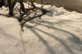 Naked Branches Covered in Snow in Winter Night Royalty Free Stock Photo