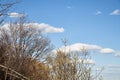 Naked branches of a tree against blue sky in early spring day Royalty Free Stock Photo