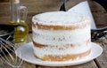 Naked cake with cheese frosting Royalty Free Stock Photo