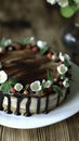 Naked drip cake with chocolate, decorated with strawberries, jasmine flowers and honeysuckle on brown wooden table Royalty Free Stock Photo