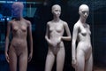 Naked female mannequins in the shop window. Fashion clothing woman mannequin in the store
