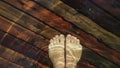 Naked hairy male legs walk on pier. The legs of a man swim. First person of view. Men rest on a flood wood underwater Royalty Free Stock Photo