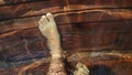 Naked hairy male legs walk on pier. The legs of a man swim. First person of view. Men rest on a flood wood underwater Royalty Free Stock Photo