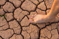 Naked human barefeet on dry soil with growing tree