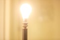 A naked lightbulb with 15mm bulb holder on a long stand- Incandescent light, showing positivity, gives hope, better future