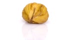 Naked roasted chestnut Royalty Free Stock Photo