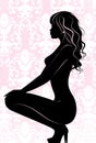 Naked girl silhouette