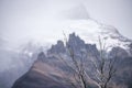 Naked tree branches in the mountains. Shevelev.