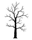 Naked tree. Silhouette of dead trees isolated on white background. Black and white. vector illustration