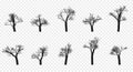 Naked Trees Silhouettes Set. Hand Drawn Isolated. Autumn. Spring. Fall.