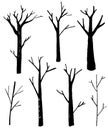 Naked trees silhouettes set. Hand drawn isolated illustrations. Nature drawing.