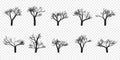 Naked Trees Silhouettes Set. Hand Drawn Isolated.