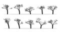 Naked Trees Silhouettes Set. Hand Drawn Isolated.