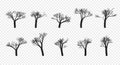 Naked Trees Silhouettes Set. Hand Drawn Isolated.