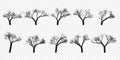 Naked Trees Silhouettes Set. Hand Drawn Isolated.